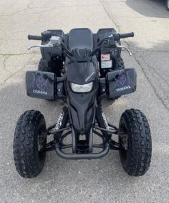 2006 Yamaha Blaster Special Edition