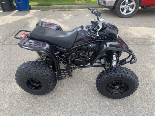 2006 YAMAHA BLASTER SPECIAL EDITION - Image 5